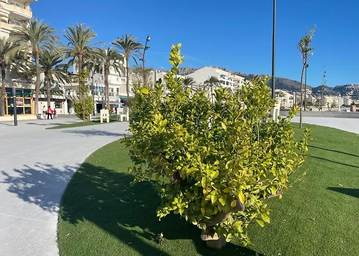 Altea Group Experience