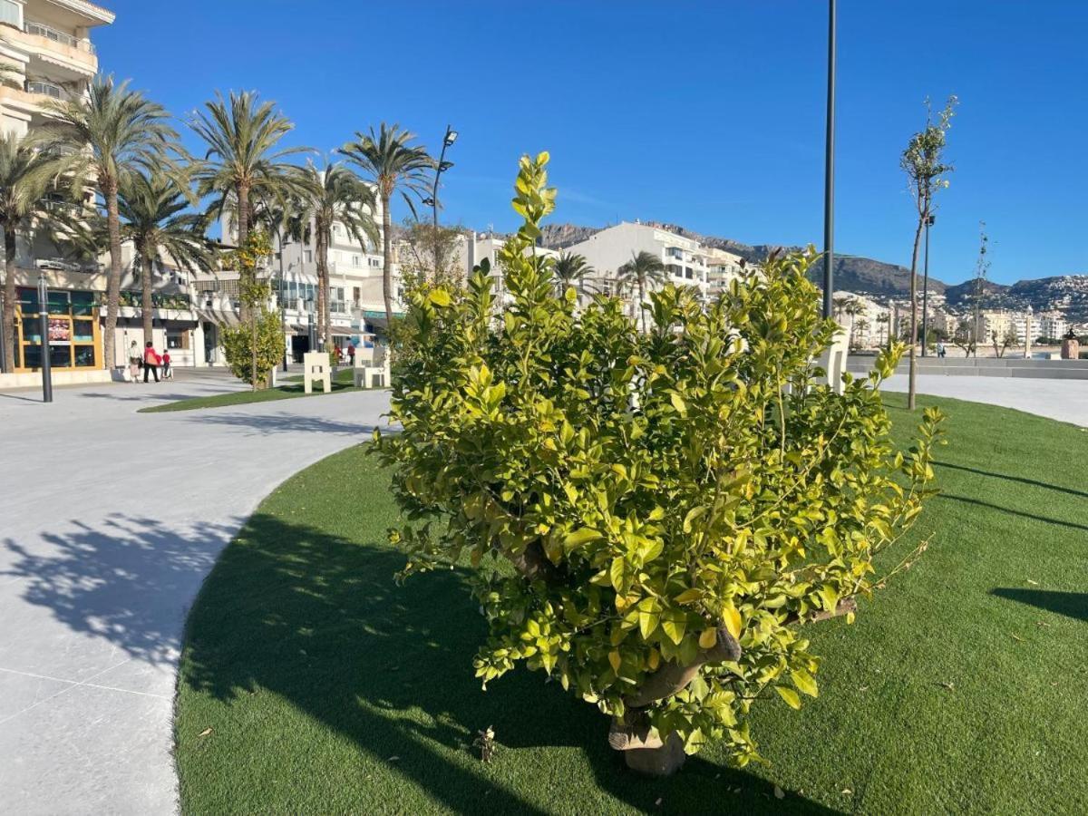 Apartment Group Experience Altea